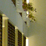 Fifteenth Detail of La Concha Fifteenth Detail of La Concha