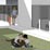 Second Detail of Humane Society Second Detail of Humane Society
