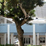 Fifth Detail of Robinson Preschool Building Fifth Detail of Robinson PReschool Building