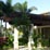 Fourth Detail of Bahía Beach Plantation Fourth Detail of Bahía Beach Plantation